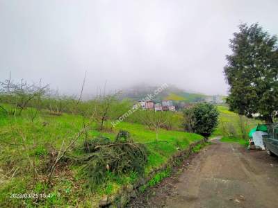 Trabzon Akçaabat Gümüşlü Köyünde Satlık Arazı 23