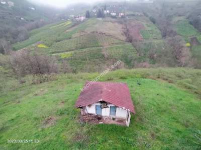 Trabzon Akçaabat Gümüşlü Köyünde Satlık Arazı 15