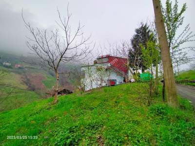 Trabzon Akçaabat Gümüşlü Köyünde Satlık Arazı 10