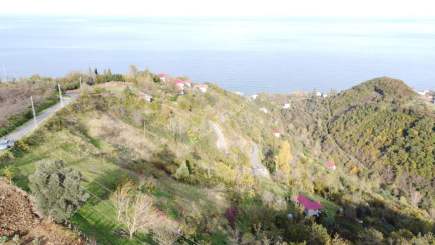 Trabzon Akçaabat Mersinde Satılık Araziler 8