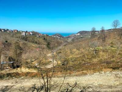 Trabzon Arsin Elmalanda Satılık Arsa 6