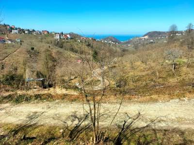 Trabzon Arsin Elmalanda Satılık Arsa 4