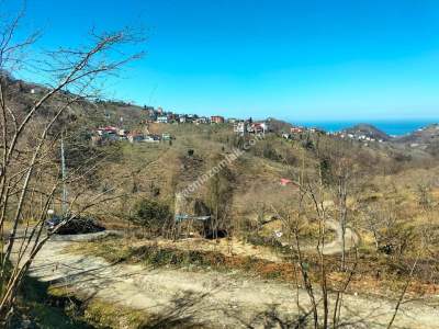 Trabzon Arsin Elmalanda Satılık Arsa 7