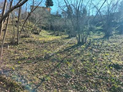 Trabzon Arsin Elmalanda Satılık Arsa 3