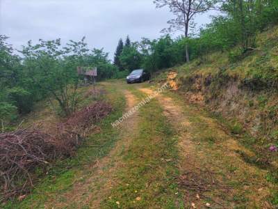 Trabzon Arsin Elmaalanda Satılık Arsa 5