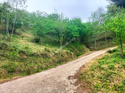 Trabzon Arsin Elmaalanda Satılık Arsa 7