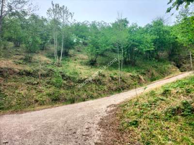 Trabzon Arsin Elmaalanda Satılık Arsa 6