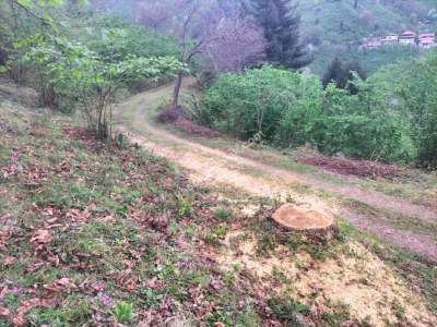 Trabzon Arsin'de Elmaalan Mahallesi'nde Satılık Arazi 4