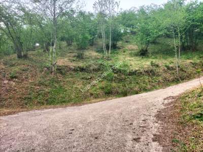 Trabzon Arsin'de Elmaalan Mahallesi'nde Satılık Arazi 7