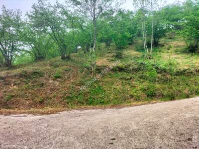 Trabzon Arsin'de Elmaalan Mahallesi'nde Satılık Arazi 6