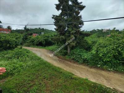 Trabzon Arsin Yalı Mahallesi'nde Satılık Arazi 13