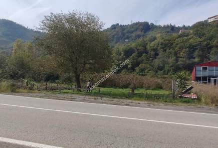 Beşikdüzü Akkese'de Şalpazarı Yoluna Cepheli Arazi 7