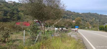 Beşikdüzü Akkese'de Şalpazarı Yoluna Cepheli Arazi 8