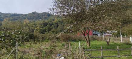 Beşikdüzü Akkese'de Şalpazarı Yoluna Cepheli Arazi 6