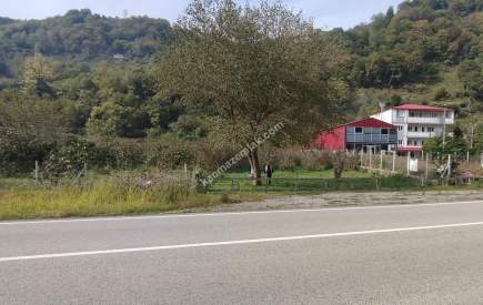 Beşikdüzü Akkese'de Şalpazarı Yoluna Cepheli Arazi 9