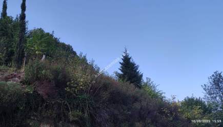 Beşikdüzü Çeşmeönünde Satılık Villalık Arazi 4