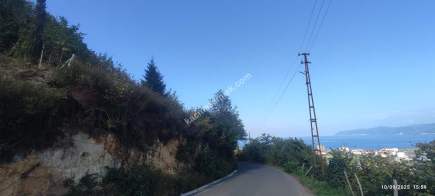 Beşikdüzü Çeşmeönünde Satılık Villalık Arazi 5