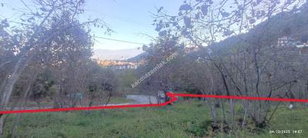 Trabzon Beşikdüzü Denizlide Satılık Fındık Bahçesi 21