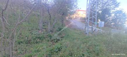 Trabzon Beşikdüzü Denizlide Satılık Fındık Bahçesi 14