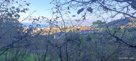 Trabzon Beşikdüzü Denizlide Satılık Fındık Bahçesi 9