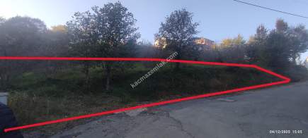 Trabzon Beşikdüzü Denizlide Satılık Fındık Bahçesi 23