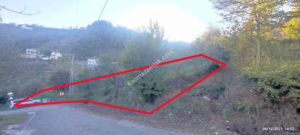 Trabzon Beşikdüzü Denizlide Satılık Fındık Bahçesi 20