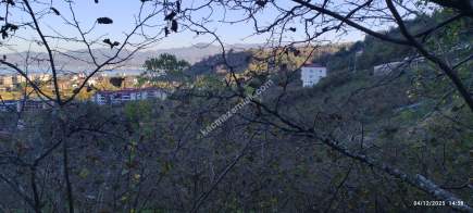 Trabzon Beşikdüzü Denizlide Satılık Fındık Bahçesi 10