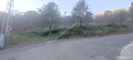 Trabzon Beşikdüzü Denizlide Satılık Fındık Bahçesi 18