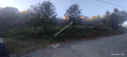 Trabzon Beşikdüzü Denizlide Satılık Fındık Bahçesi 19