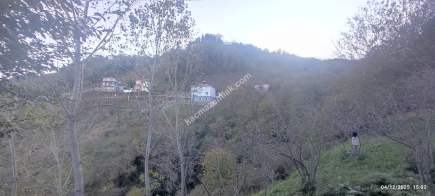 Trabzon Beşikdüzü Denizlide Satılık Fındık Bahçesi 17