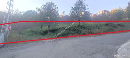 Trabzon Beşikdüzü Denizlide Satılık Fındık Bahçesi 22