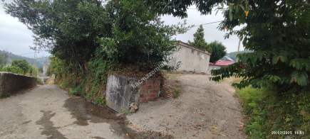 Beşikdüzü Takazlıda Satılık Ev Ve Fındık Bahçesi 6