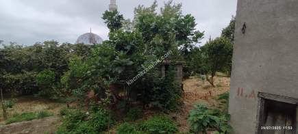 Beşikdüzü Takazlıda Satılık Ev Ve Fındık Bahçesi 11