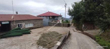 Beşikdüzü Takazlıda Satılık Ev Ve Fındık Bahçesi 5