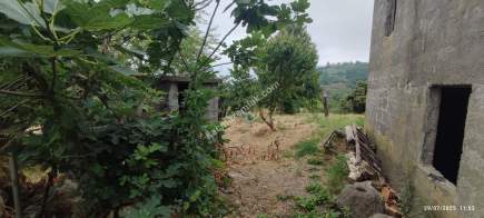 Beşikdüzü Takazlıda Satılık Ev Ve Fındık Bahçesi 12