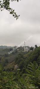 Beşikdüzü Takazlıda Satılık Ev Ve Fındık Bahçesi 1