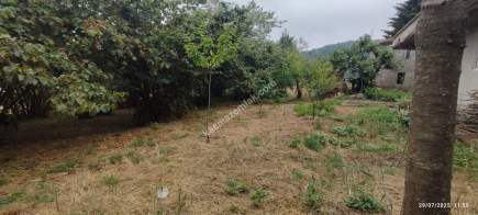 Beşikdüzü Takazlıda Satılık Ev Ve Fındık Bahçesi 17