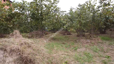 Trabzon Ortahisar Aydınlı'da Yola Cepheli Satılık Araz 12