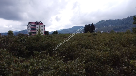 Trabzon Ortahisar Aydınlı'da Yola Cepheli Satılık Araz 11