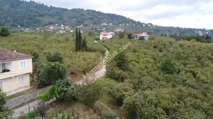 Trabzon Ortahisar Aydınlı'da Yola Cepheli Satılık Araz 21