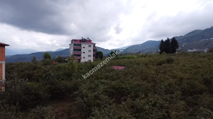 Trabzon Ortahisar Aydınlı'da Yola Cepheli Satılık Araz 14