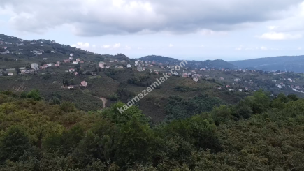 Trabzon Ortahisar Aydınlı'da Yola Cepheli Satılık Araz 15