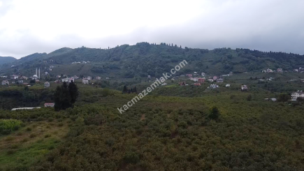 Trabzon Ortahisar Aydınlı'da Yola Cepheli Satılık Araz 8