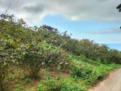 Trabzon Çimenli'de Satılık Arazi 4