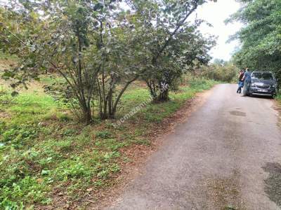 Trabzon Çimenli'de Satılık Arazi 1
