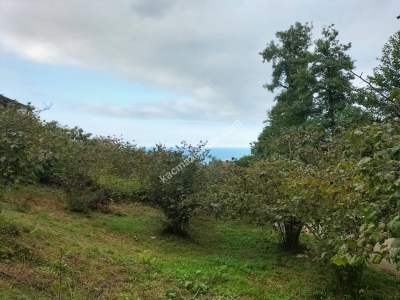 Trabzon Çimenli'de Satılık Arazi 6