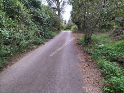 Trabzon Çimenli'de Satılık Arazi 2