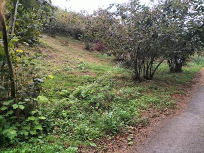 Trabzon Çimenli'de Satılık Arazi 3