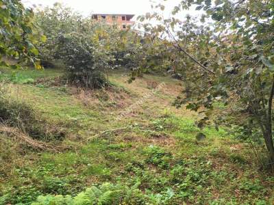 Trabzon Çimenli'de Satılık Arazi 8