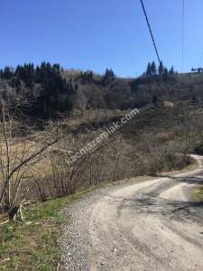 Trabzon Dolaylı Da Satılık 8.973 M2 Arazi 5